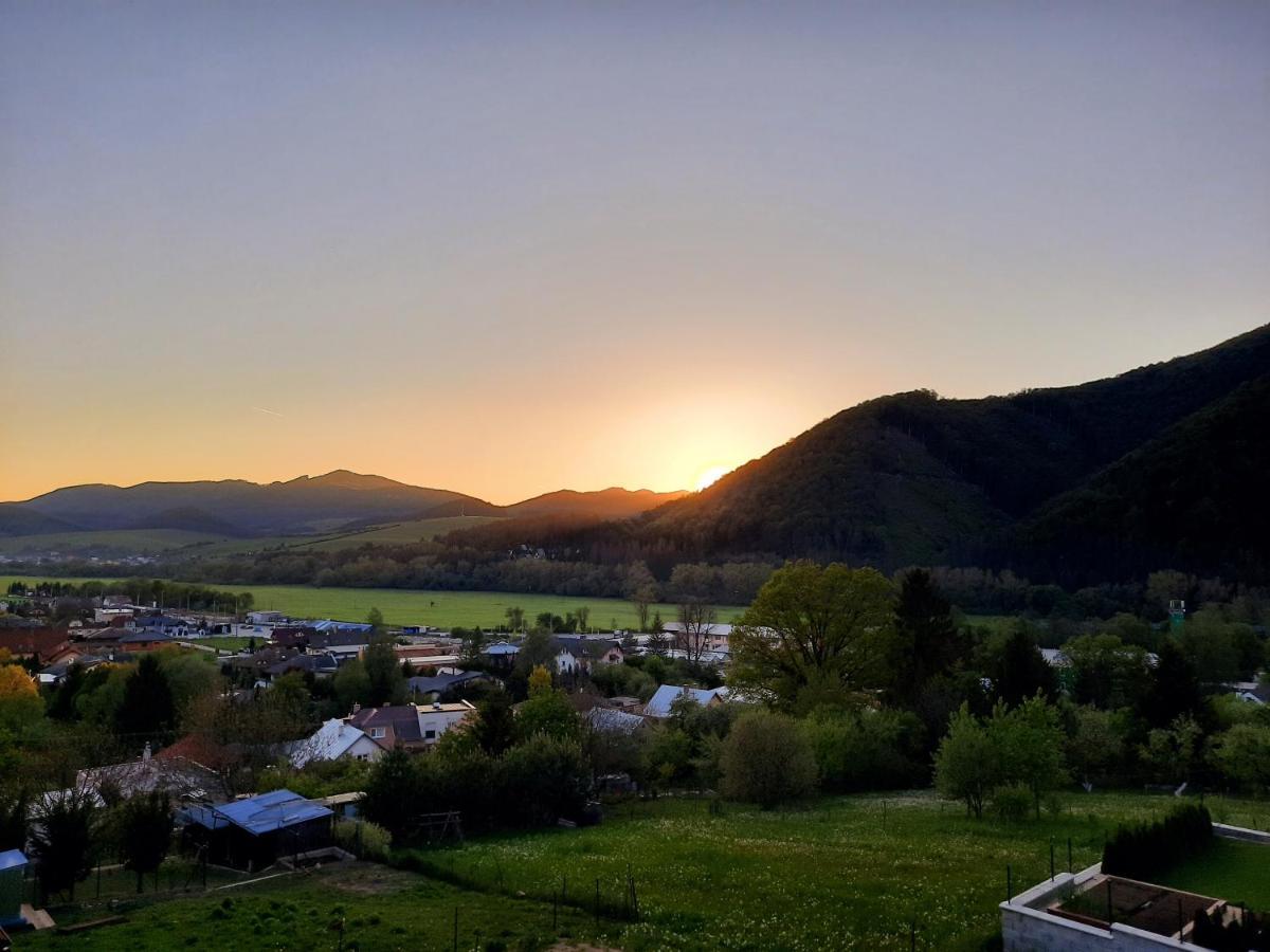 Vila Viktoria Rajecké Teplice エクステリア 写真